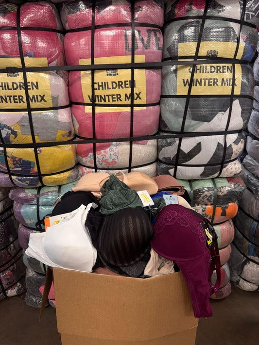 Caja De Brassiere TGT