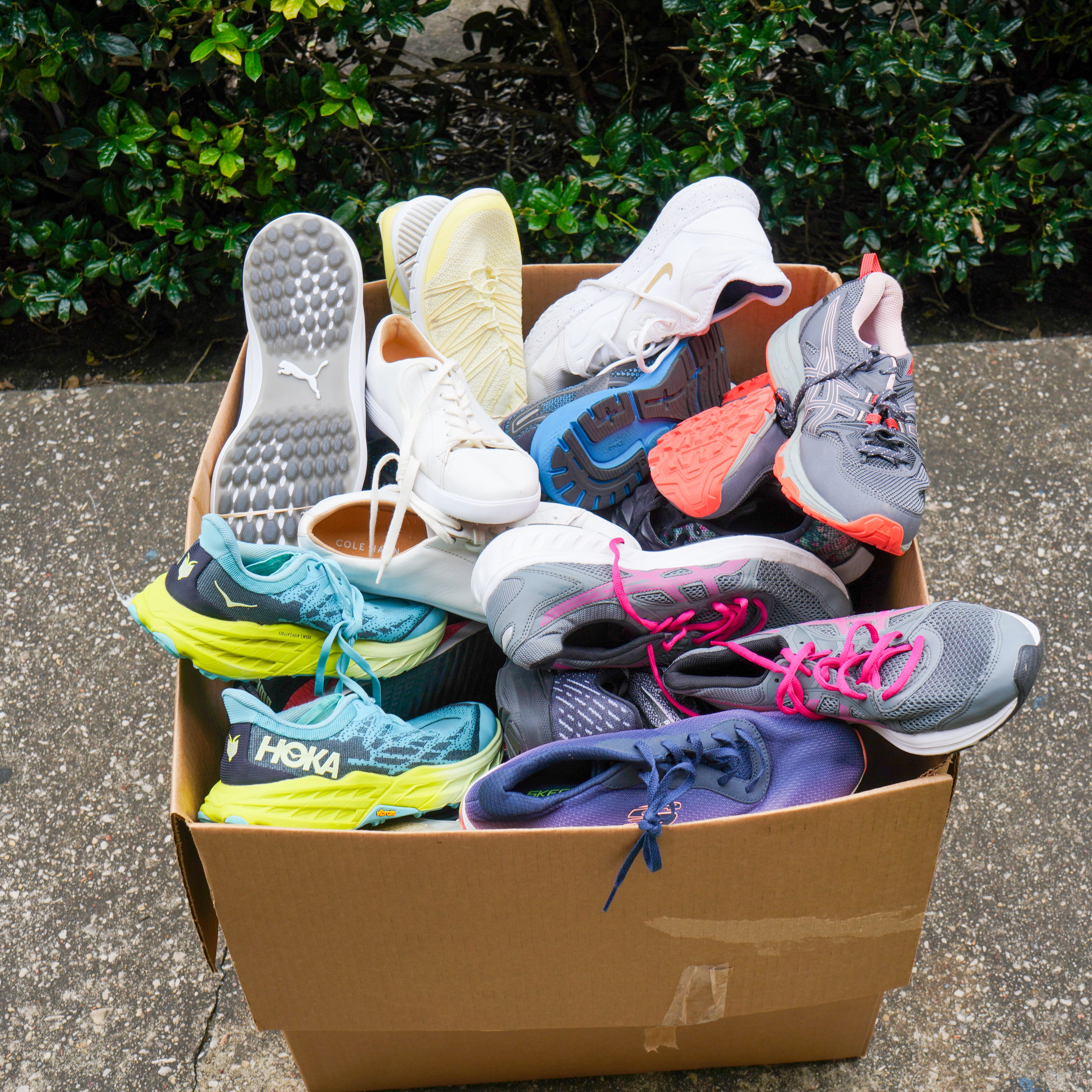 Tennis Shoes #1 (50LBS)