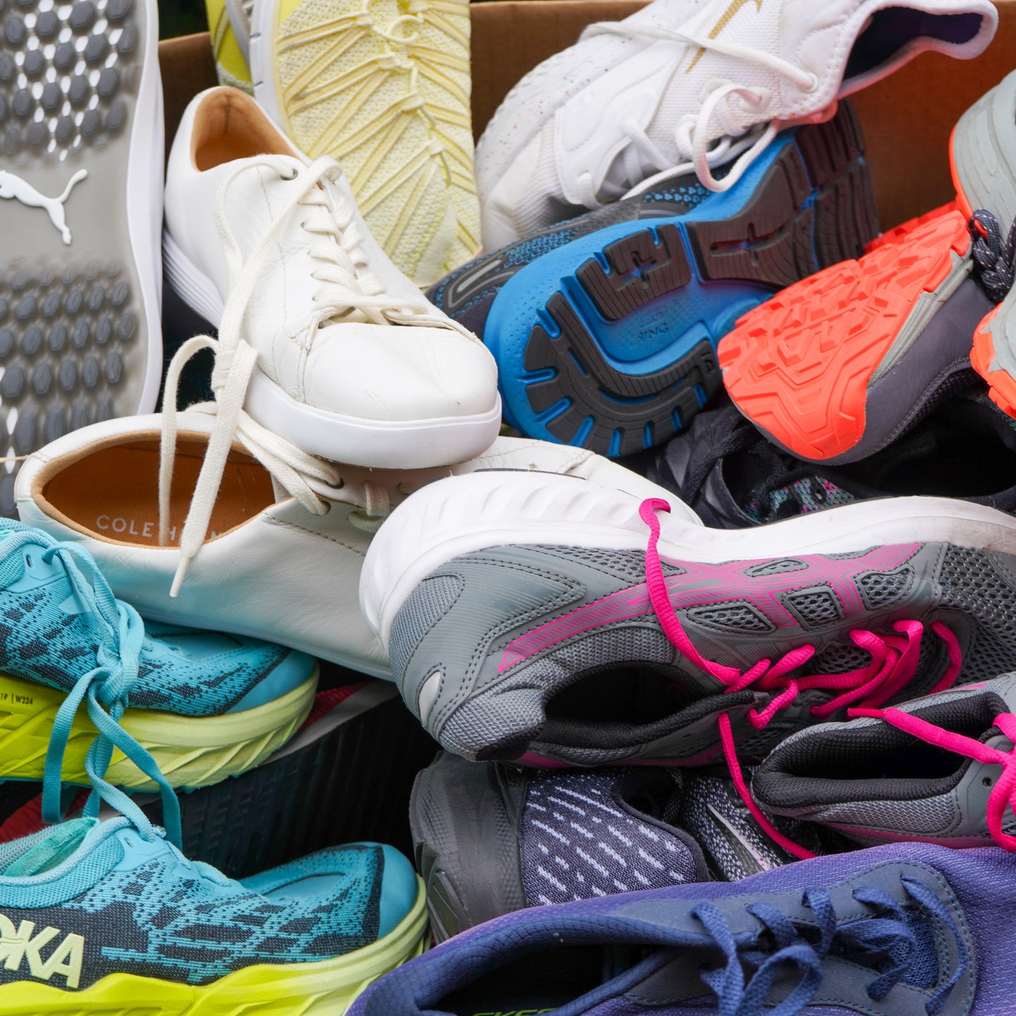 Tennis Shoes #1 (50LBS)