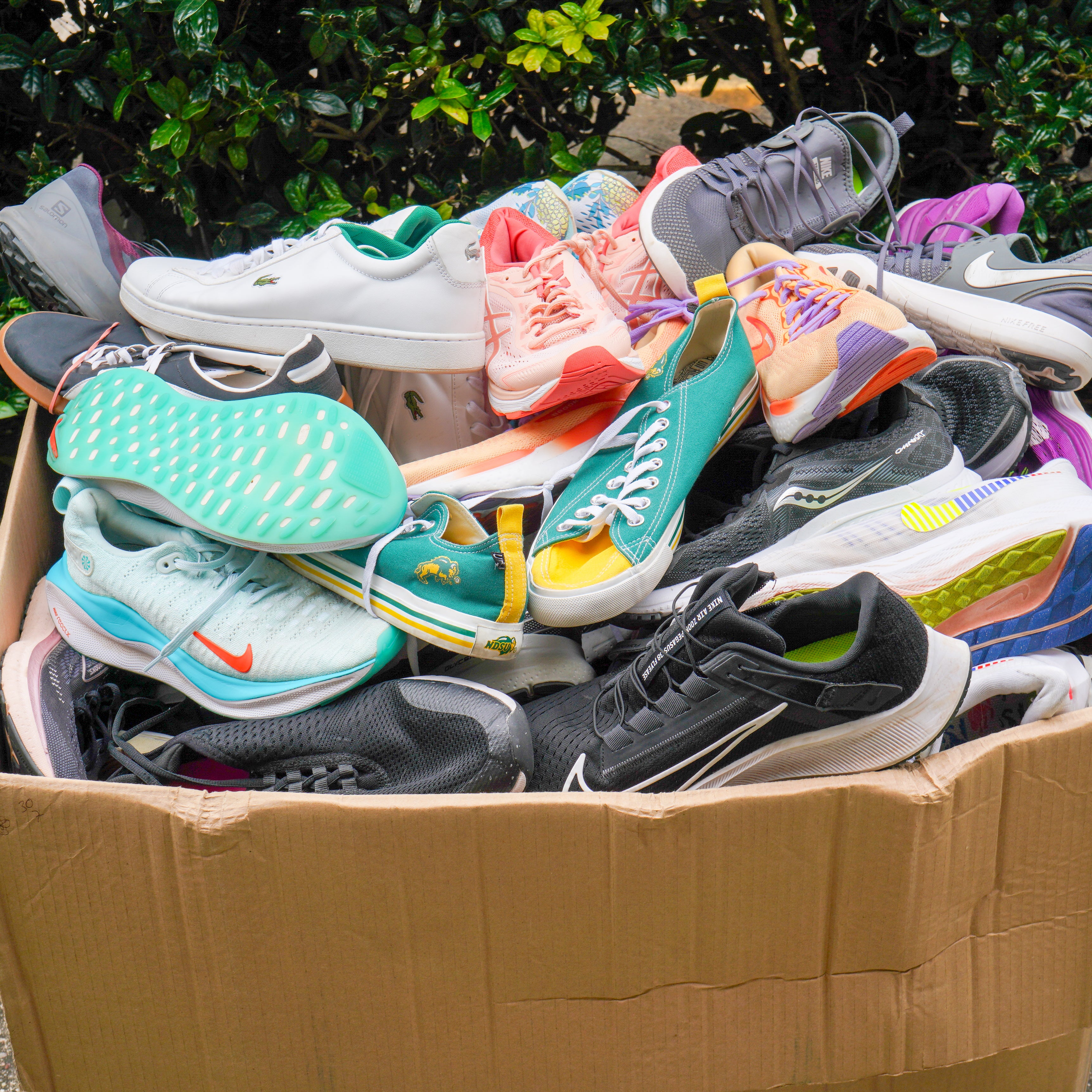 Tennis Shoes #1 (100LBS)