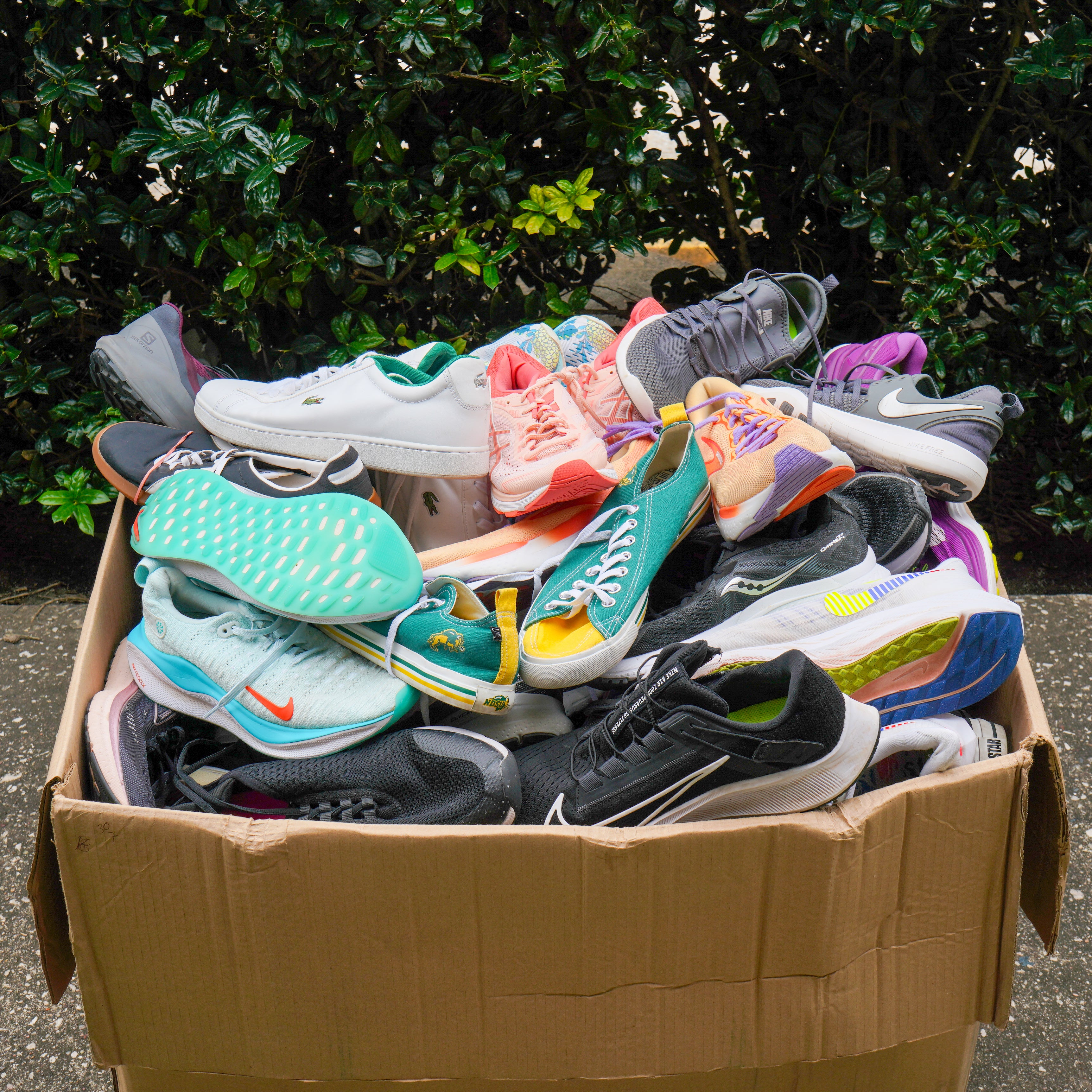 Tennis Shoes #1 (100LBS)