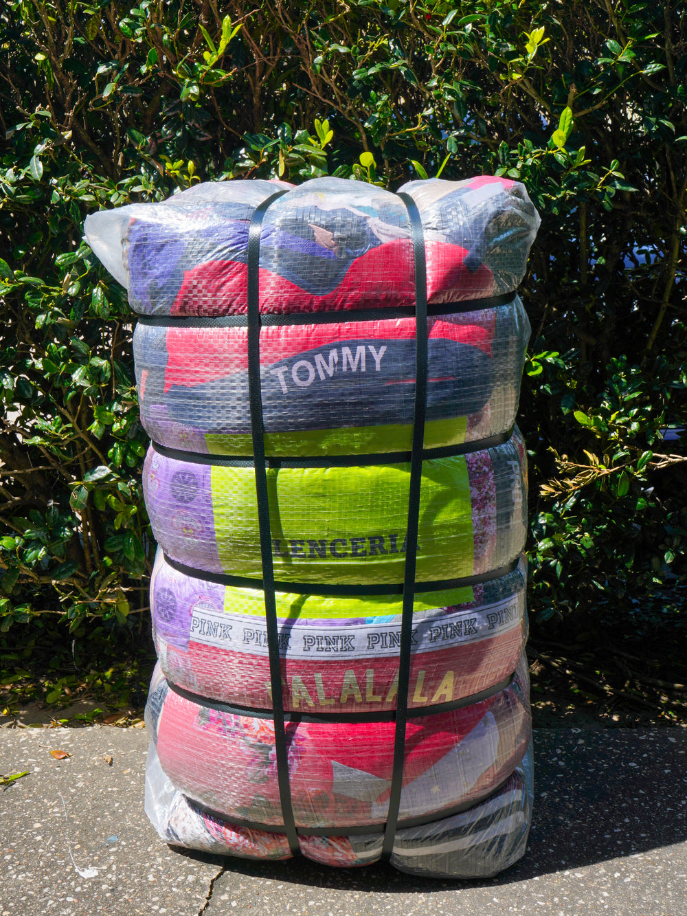 Lingerie