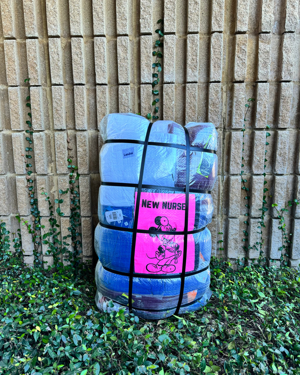 Enfermera Nueva Mixta
