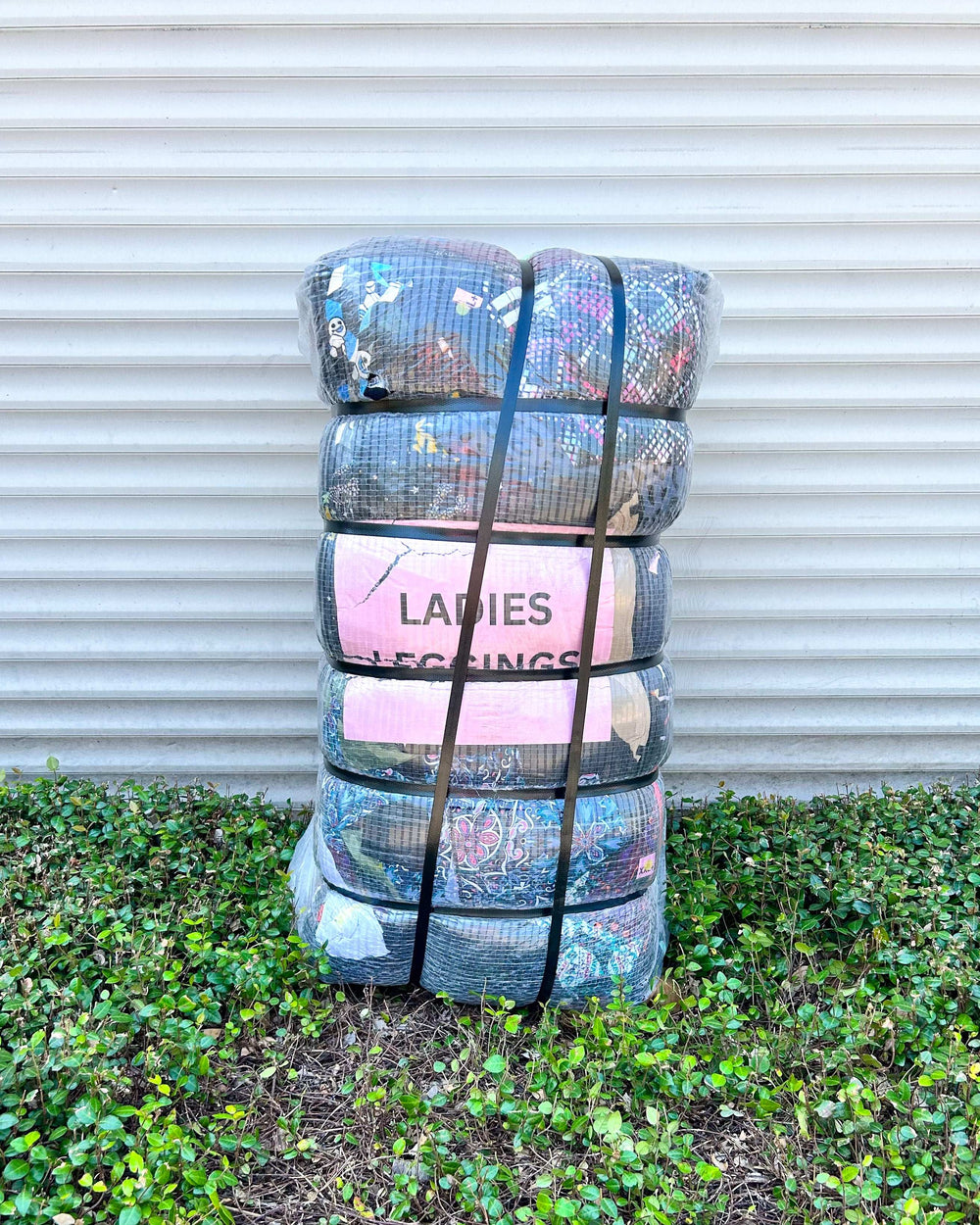 Ladies Legging #2