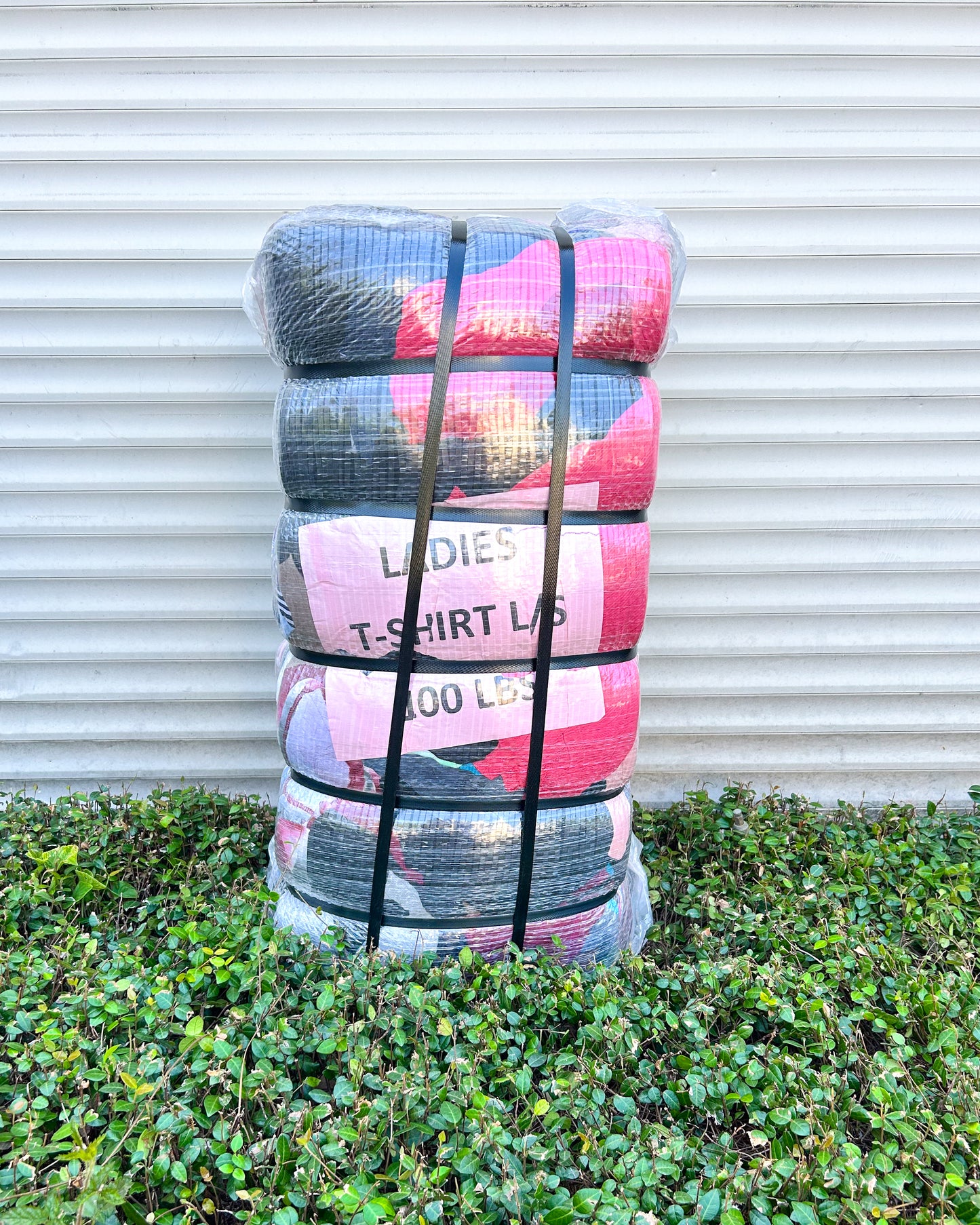 Ladies T-Shirt L/S #2