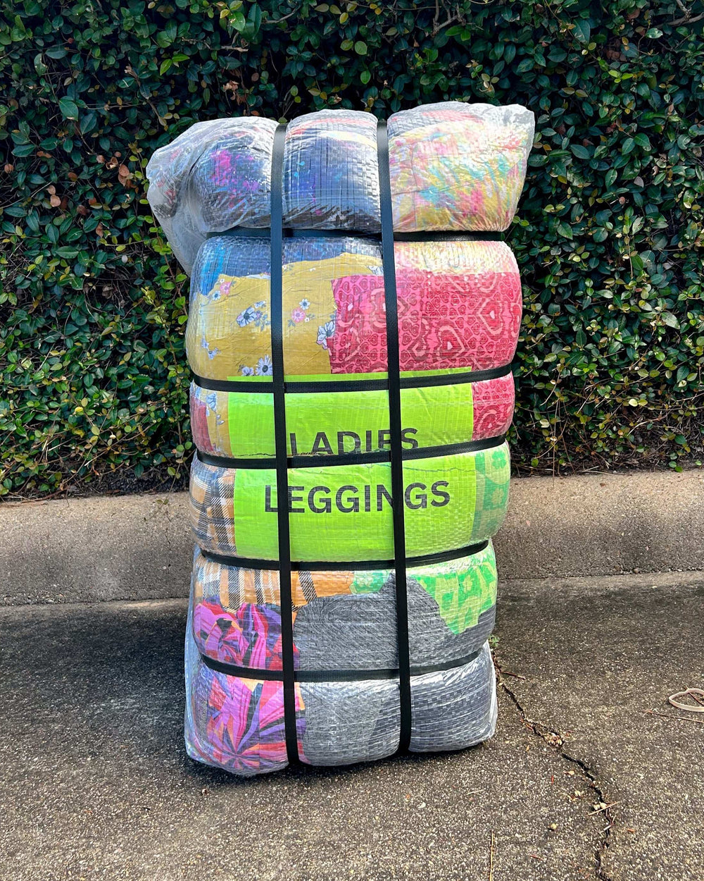 Ladies Leggings #1