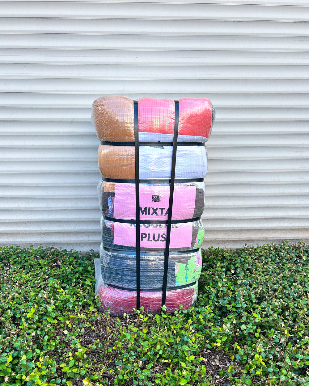 Mixta Regular Plus