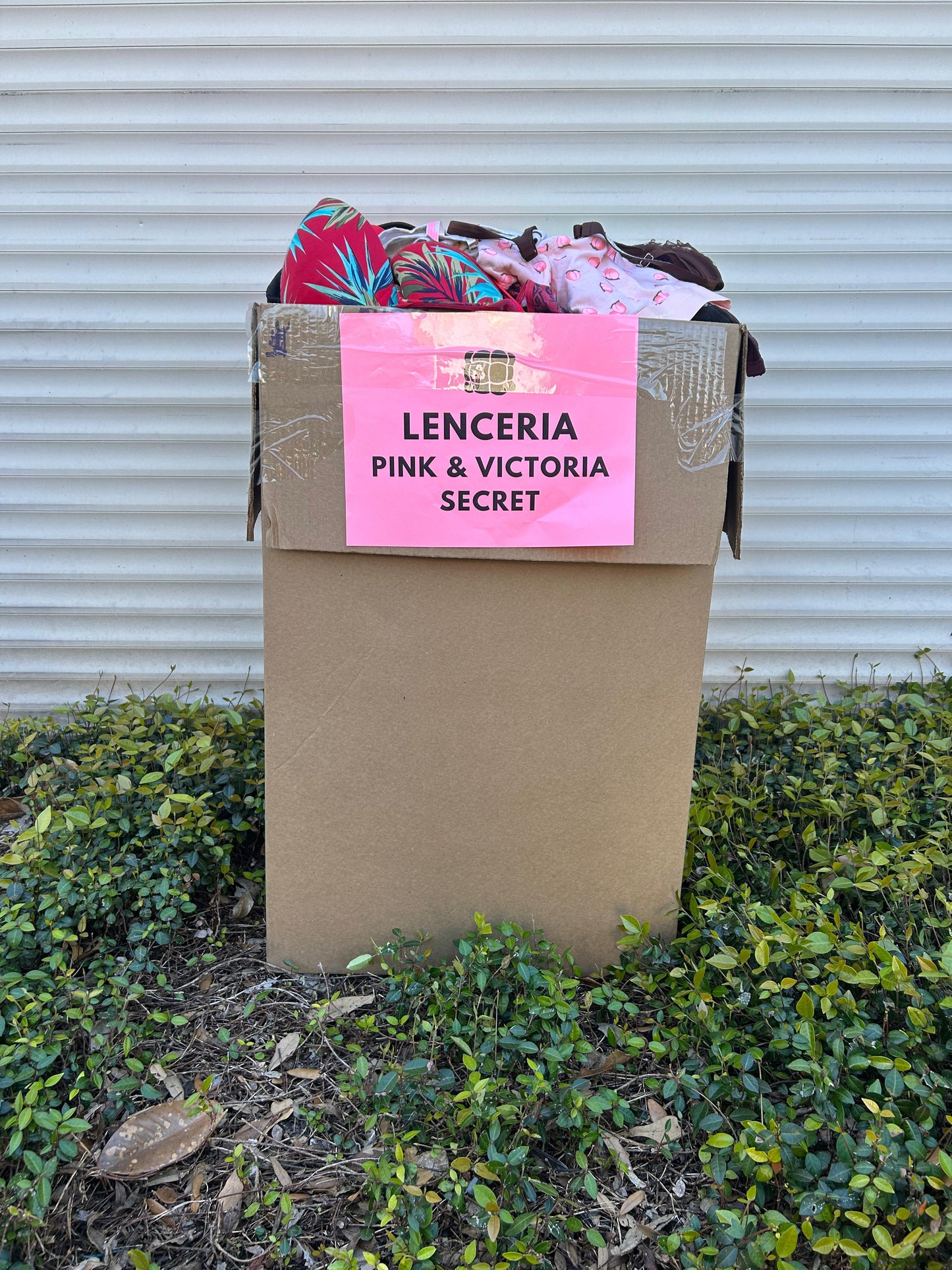 Lenceria Pink & Victoria Secret