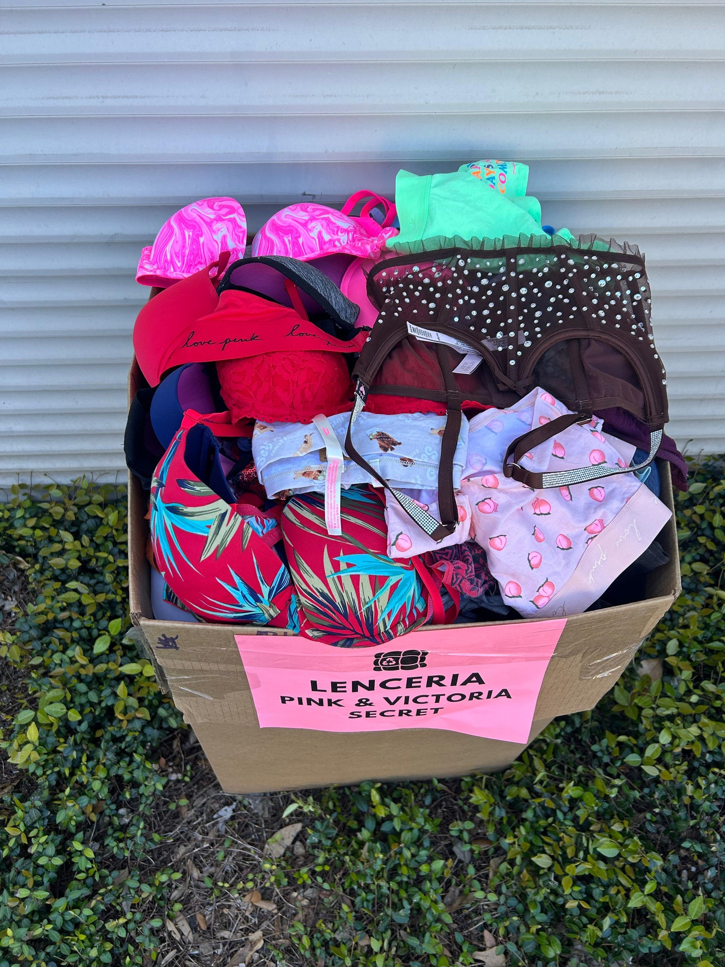 Lenceria Pink & Victoria Secret