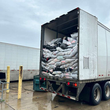 Dallas, TX Credencial