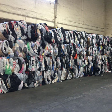 Cleveland, Ohio Credencial